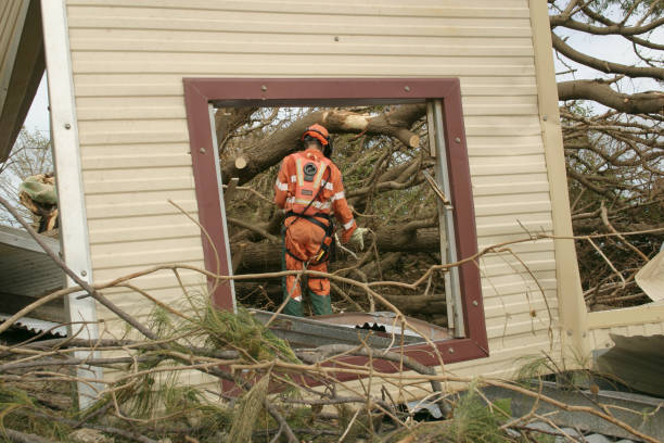 How Our Tree Care Process Works  in  Larned, KS